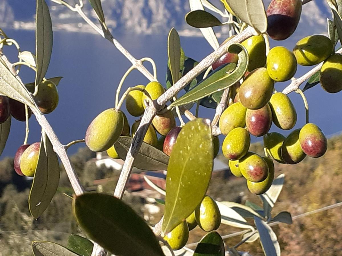 Appartamento Leccino Malcesine Kültér fotó